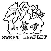 小葉甘 SWEET LEAFLET 及圖