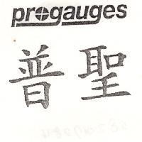 普聖 PROGAUGES