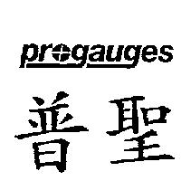 普聖 PROGAUGES