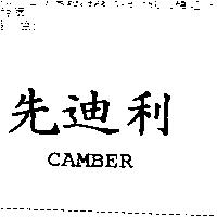 先迪利 CAMBER