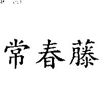 常春藤