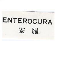 安腸