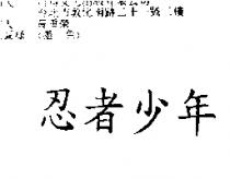 忍者少年