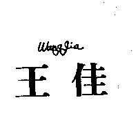 王佳 Wang gia