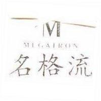 MEGATRON 名格流及圖