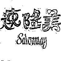速隆美 SALONMAT
