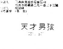 天才男孩 GENI BOY