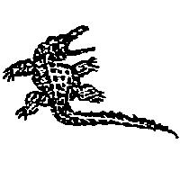 科莫多龍圖
