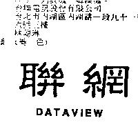 聯網 DATAVIEW