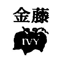金藤及圖 IVY