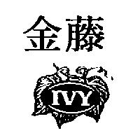 金藤及圖 IVY