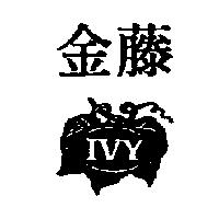 金藤及圖 IVY