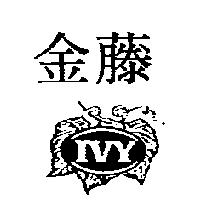 金藤及圖 IVY