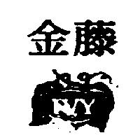 金藤及圖 IVY
