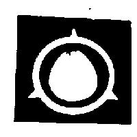 文旦設計圖