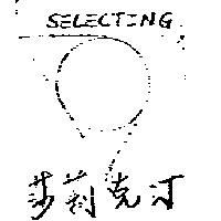 莎莉克汀 SELECTING 及圖樣