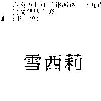 雪西莉