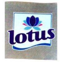 Lotus 圖案