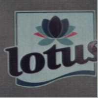 LOTUS 圖案