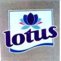 LOTUS 圖案