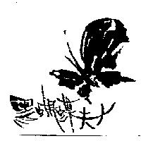黑蝴蝶夫人及圖