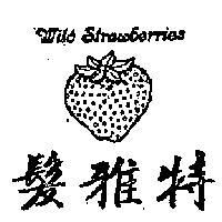 髮雅特及圖