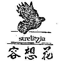花想容 STRELITZIA 