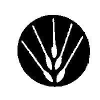 麥穗設計圖