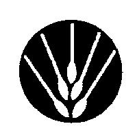 麥穗設計圖