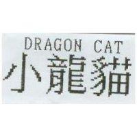 小龍貓 DRAGON CAT