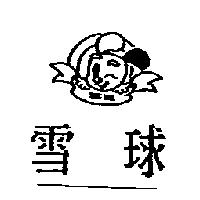 雪球 SNOW BALL 及圖