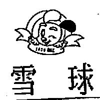 雪球 SNOW BALL 及圖