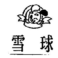 雪球及圖