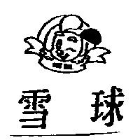 雪球 SNOW BALL 及圖