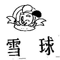雪球及圖