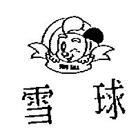 雪球 SONW BALL 及圖