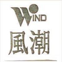 風潮及圖 WIND