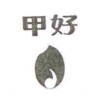 甲好及芽米設計圖