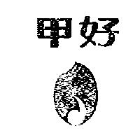 甲好及芽米設計圖