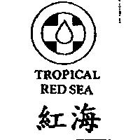 紅海及圖 TROPICAL