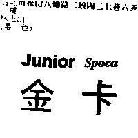 金卡 Junior spoca
