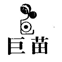 巨苗及圖