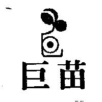 巨苗及圖