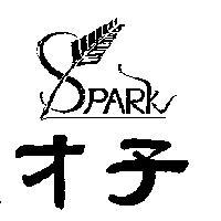 才子 SPARK 圖