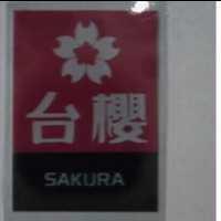 台櫻及圖 SAKURA