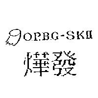 燁發及 YAFA 設計圖 O.P.B.G-SKII