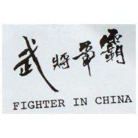 武將爭霸 FIGHTER IN CHINA