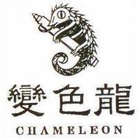 變色龍及圖 CHAMELEON
