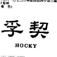 孚契 HOCKY
