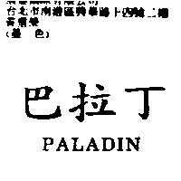 巴拉丁 PALADIN